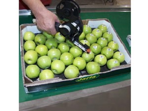 Etiquetadora de Fruta Manual